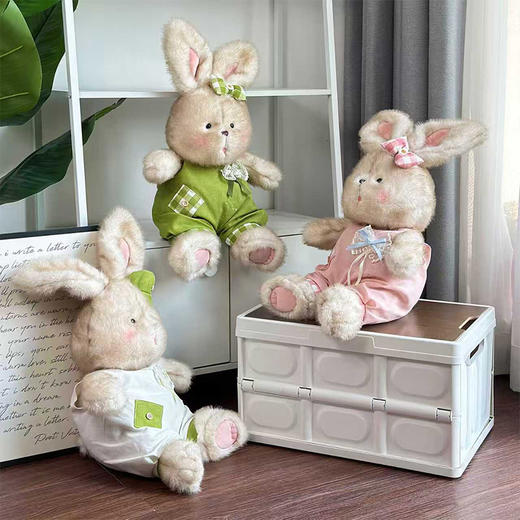 脏脏兔玩偶毛绒公仔23cm生日礼物-纪念日百货门店同款167843843 商品图2