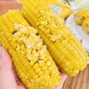 【新品上架  立减10元】延边冰鲜冷冻甜糯老品种丑玉米 共4斤（收到后冷冻保存） 商品缩略图6