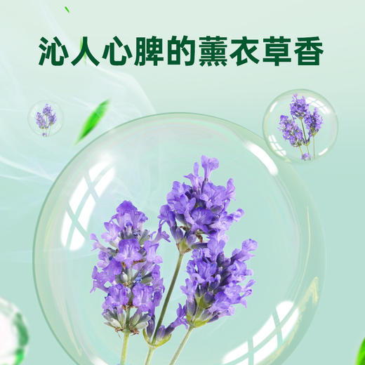 滴露衣物除菌液舒缓薰衣草1.5L 商品图6