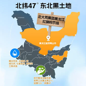 北大荒黑豆纯豆浆粉500g（25袋）无添加高蛋白高纤维冲饮谷物早餐孕妇 商品图7