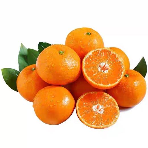 涌泉高山现摘涌泉蜜橘5斤整箱包邮应当季水果农家自种蜜橘甜高山涌泉蜜橘 商品图4