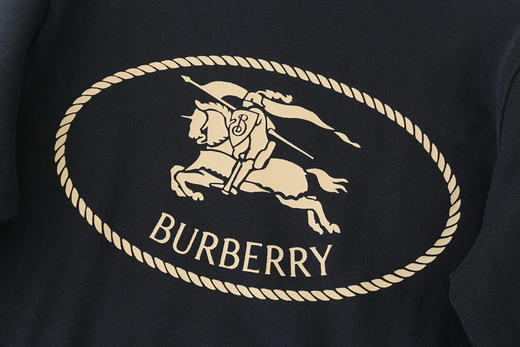 【秒杀价已调 直接拍】爱骑士的BB必入 B家 骑士 印章 棉质圆领卫衣 商品图7