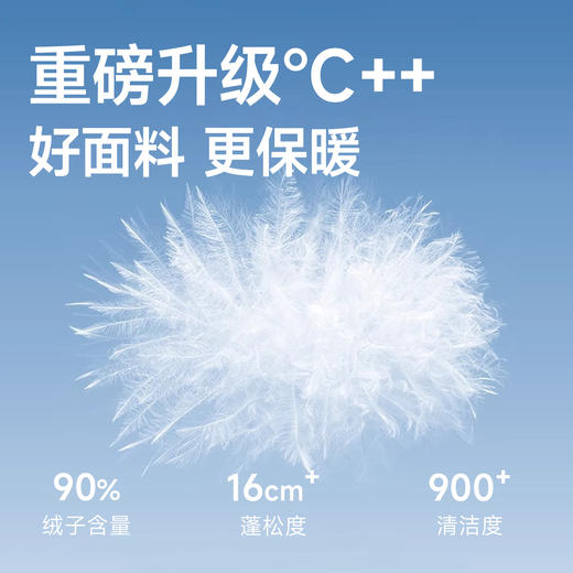 【DKP】大依优型大码男装翻领鸭绒羽绒服上衣外套商务休闲加肥加大码 商品图3