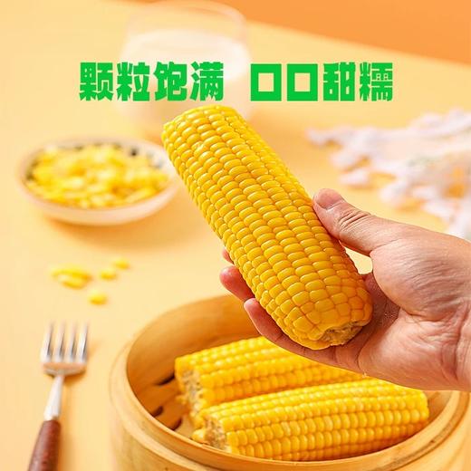 【甜糯玉米】香、甜、软、糯，QQ弹弹颗颗如珍珠一样 商品图12