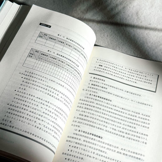 乡村学校评估 乡村振兴中的学校发展 乡村校长培训丛书 商品图10