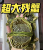 【秒杀】港标顶壳肥9指蟹🦀净重3斤以上兴化大闸蟹鲜活螃蟹 死蟹包赔基地直邮 商品缩略图1