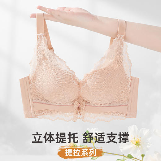 雅黛俪小胸聚拢显大文胸上薄下厚杯性感蕾丝内衣提拉收副乳胸罩 商品图2