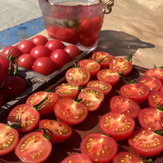 攀枝花露天甜贝贝水果小番茄 净重3-5斤 新鲜采摘 商品图5