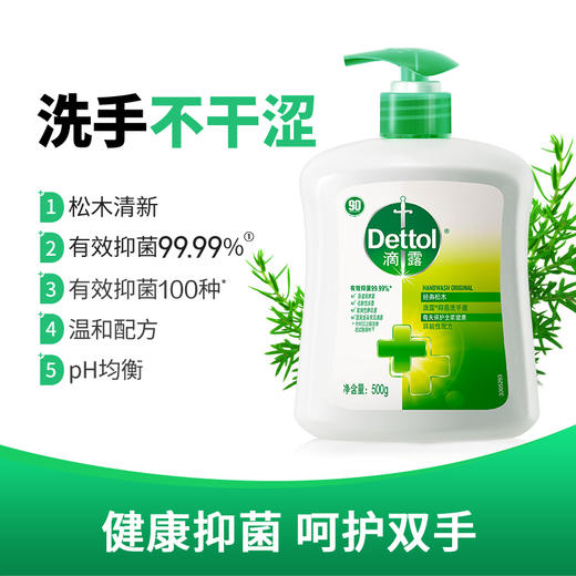 滴露抑菌洗手液经典松木500g 商品图2