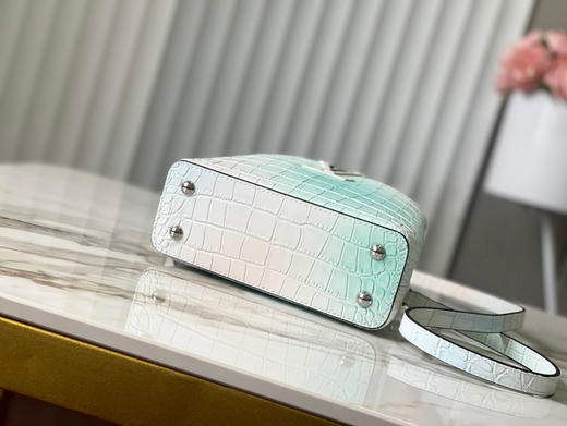 秋冬特惠💰1430 渠道级LV 新品🔸te级LV精品🔸N93163/M48865白拼绿鳄鱼纹 商品图8