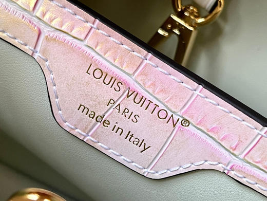 秋冬特惠💰1530 渠道级LV 新品🔸te级LV精品🔸N93163/M48865五彩流金鳄鱼纹 商品图6