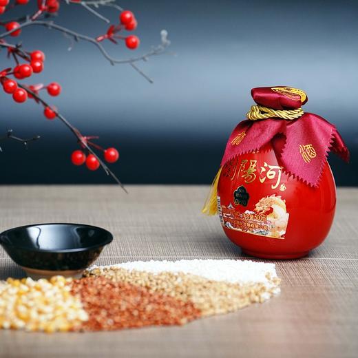 【湖南老牌名酒 非遗"老五甑"工艺 回甘似蜜】浏阳河酒·翰林洞N19 42度浓香型白酒 500ml*4瓶（送4个手工陶瓷酒碗） 商品图1