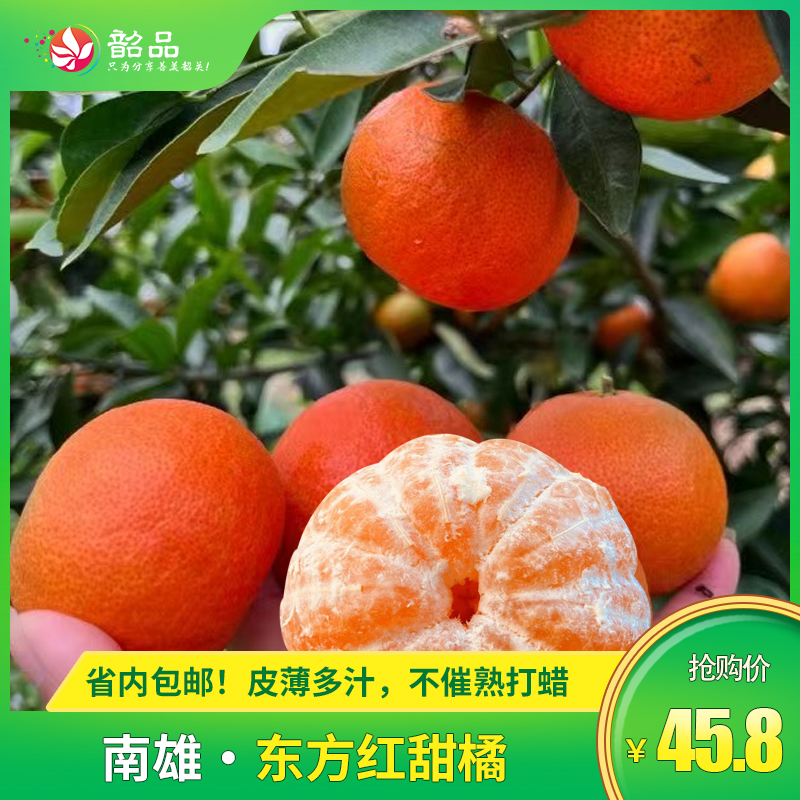 🍊超甜预警！【东方红甜橘 】产自南雄高山果园，新鲜甜橘 ，皮薄多汁，不催熟打蜡现摘现发  5斤/10斤装，省内顺丰包邮~