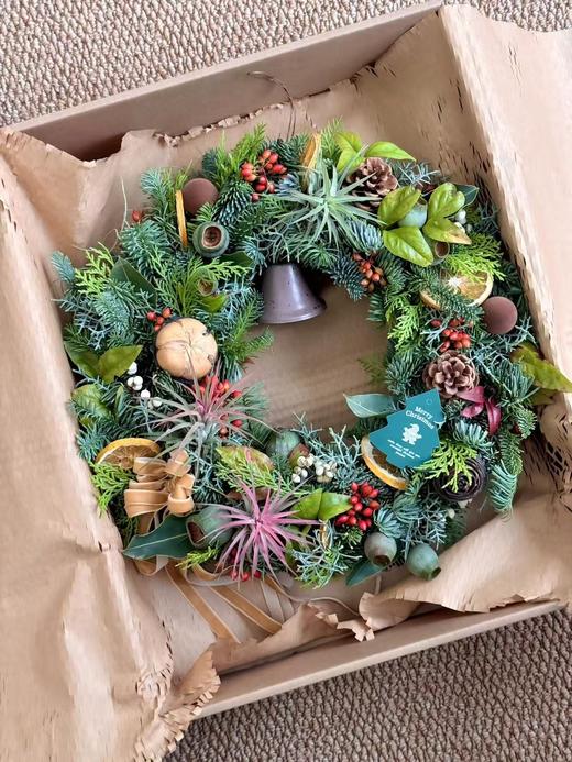 圣诞节诺贝松圣诞花环合集 商品图5