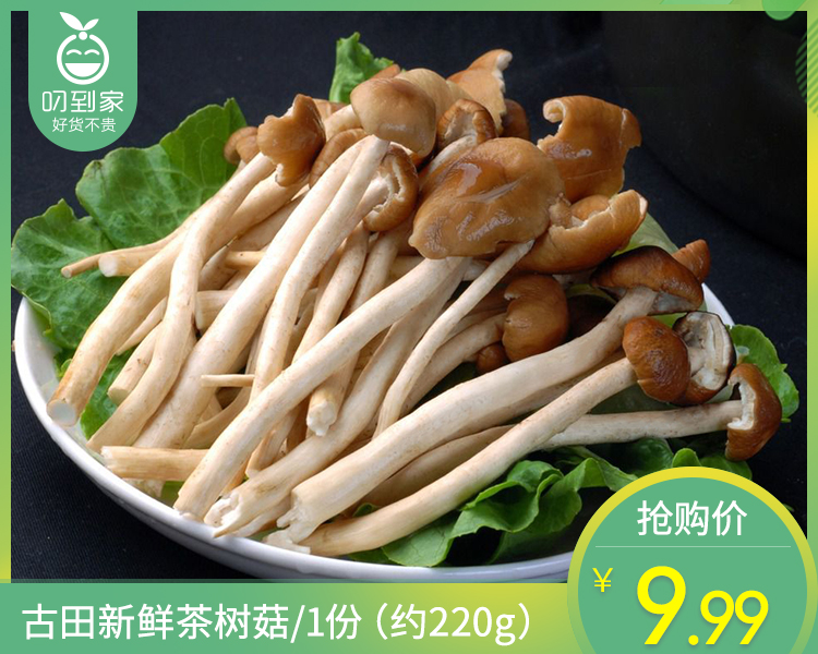 【叼鲜蔬】古田新鲜茶树菇/1份（约220g）