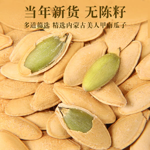 聚创世家南瓜子内蒙特产 218g 商品图2