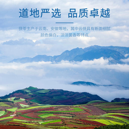 康美药业原御宝堂系列茯苓10g*20袋/盒 药食同源康美中药饮片 独立小包装 商品图2