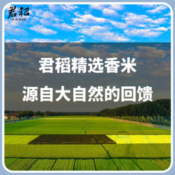 君稻 长粒香大米10kg 东北大米20斤 京东自营 年货送礼 商品图7