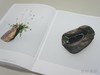 Sacrifice: The Ikebana of Regeneration / 未来に捧ぐ、再生のいけばな / 献给未来的重生花道 商品缩略图4