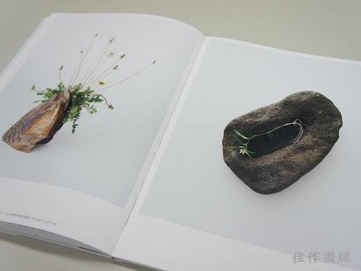 Sacrifice: The Ikebana of Regeneration / 未来に捧ぐ、再生のいけばな / 献给未来的重生花道 商品图4