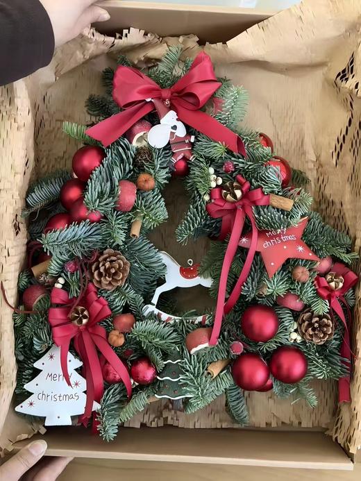 圣诞节诺贝松圣诞花环合集 商品图4