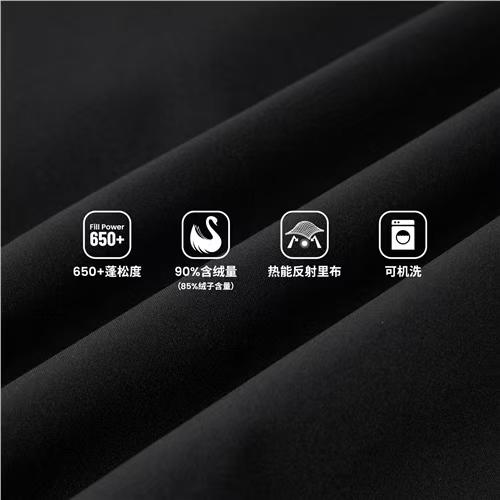 佐丹奴男装25年新款防风防泼水防油污鹅绒01075626 商品图7