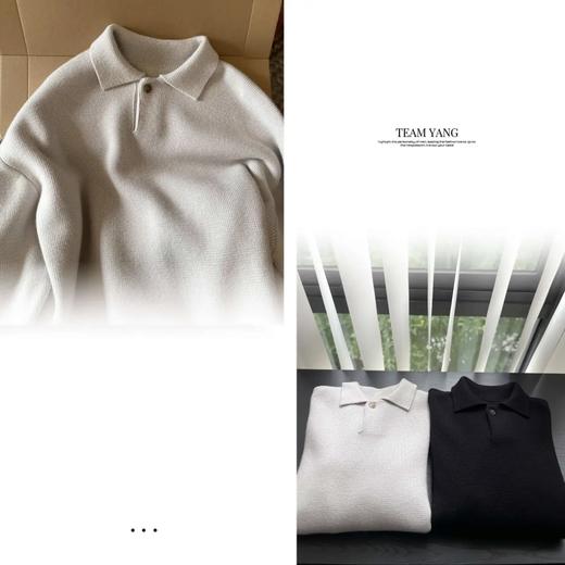 Team Yang-秋冬新品美丽诺羊毛高克重质感极简老钱风毛衣7098 商品图3