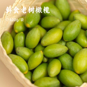 鲜食老树橄榄｜产自中国橄榄第一村 闽清梅埔 现摘现发 不打甜蜜素 不加防腐剂 自然清香 新鲜直达