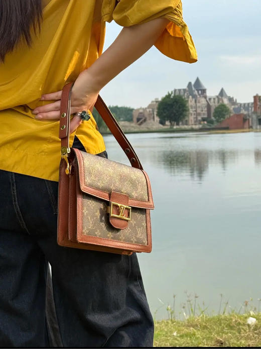 Lv 中古 单色 老花 达芙妮 斜挎包 商品图3