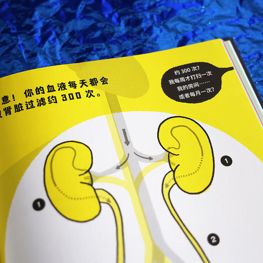 【5-8岁】浪花朵朵 湿答答的身体 商品图2