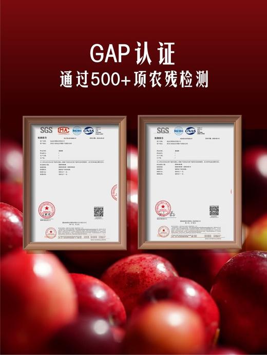 MM 山姆 蔓越莓 310g 商品图3