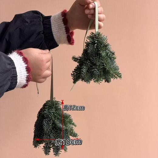 圣诞树诺贝松门挂车挂合集 商品图2