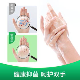 滴露自然清新洗手液200g