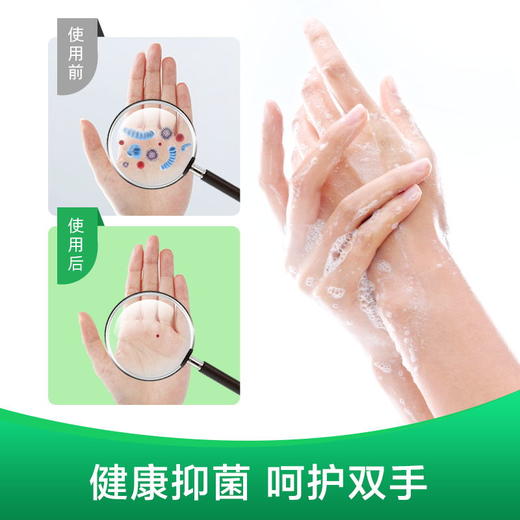 滴露抑菌洗手液经典松木500g 商品图3