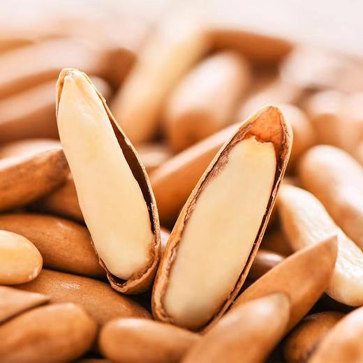 新货巴西松子罐装薄壳易剥手剥原味松子香酥炒货休闲零食新款新品办公室零食 商品图1