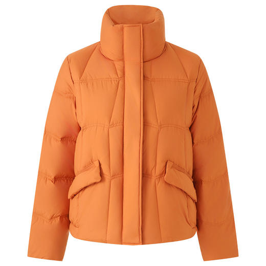 「高货wl」全新升级【铂金会员551/天猫749/差价198】(04352)洛诗琳立领泡芙休闲羽绒服2025冬季新款加厚小个子短外套 商品图4