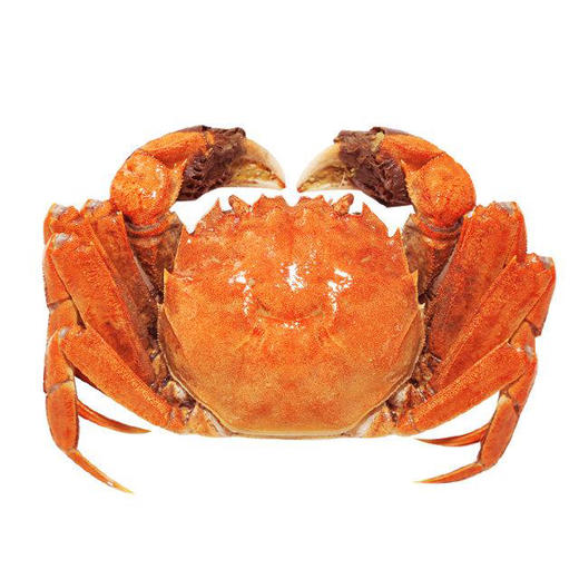 【秒杀】港标顶壳肥9指蟹🦀净重3斤以上兴化大闸蟹鲜活螃蟹 死蟹包赔基地直邮 商品图0