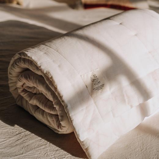 新疆棉全手工弹制冬棉被 冬被加厚保暖单人被芯棉絮床垫被 商品图3