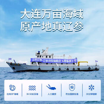 辽参大连冷冻海参1斤 10-12只 正宗辽参 非即食辽刺参 固形物≥85% 商品图3