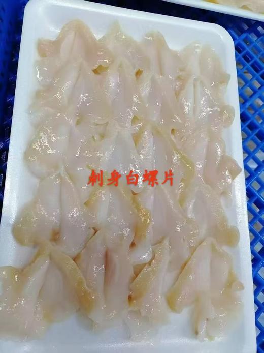 刺身/白螺片10克20片 商品图4
