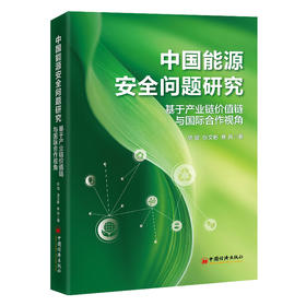 中国能源安全问题研究:基于产业链价值链与国际合作视角
