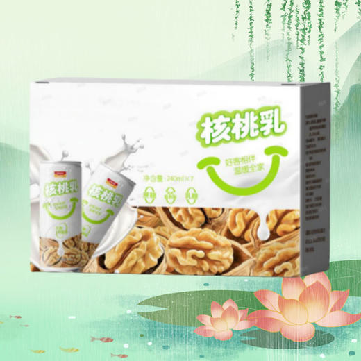 核桃乳植物蛋白饮料240ml/罐 商品图2