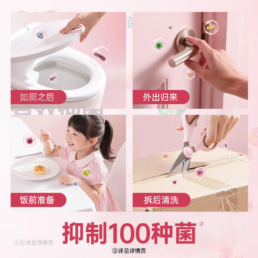 滴露抑菌洗手液滋润倍护250g 商品图3