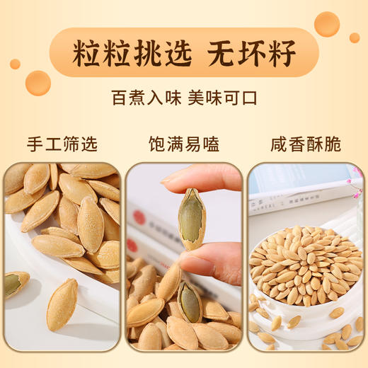 聚创世家南瓜子内蒙特产 218g 商品图3