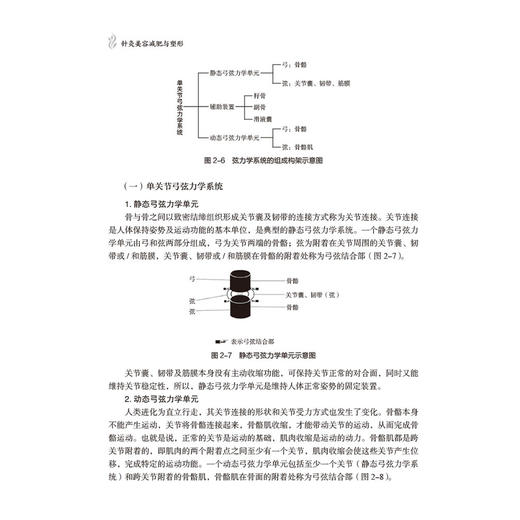 针灸美容减肥与塑形 马晓明 主编 适用于广大针灸推拿临床医师 骨伤 中医学及护理学专业本科生 研究生阅读参考中国医药科技出版社 商品图4