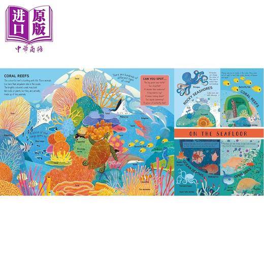 预售 【中商原版】立体书 海洋与大海 Qian Ling Seas & Oceans A Magical Pop-Up Book 英文原版 儿童立体科普绘本 大尺寸立体书 商品图3