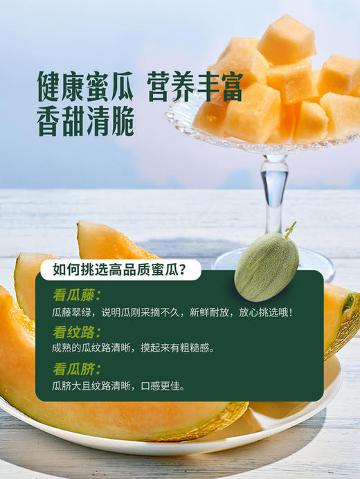 MM 山姆 西州蜜瓜 3kg（2个装） 商品图4