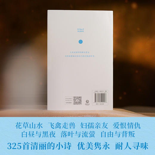 飞鸟集(汉文 英文) 商品图1