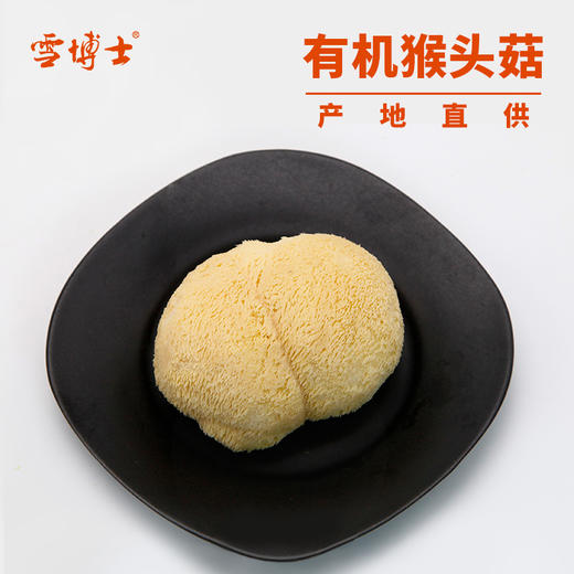 有机猴头菇 60g/120g 商品图8