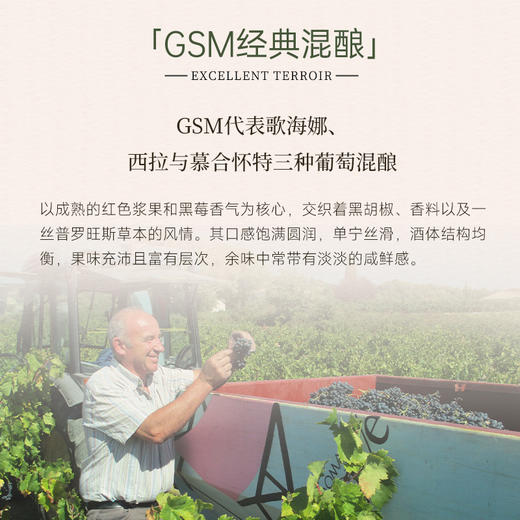 【罗讷河谷特级园】爱神列级名庄特级园红葡萄酒 12个月橡木桶陈酿 15%vol 商品图3